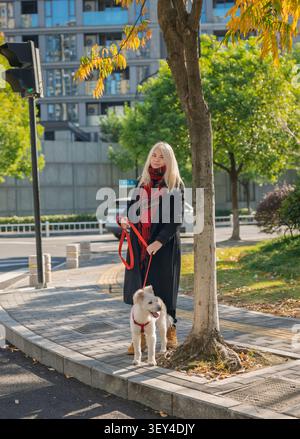 Donna bionda con cappotto nero e sciarpa a quadri rossa, cammina un piccolo cane bianco al guinzaglio rosso lungo il marciapiede urbano al sole autunnale Foto Stock