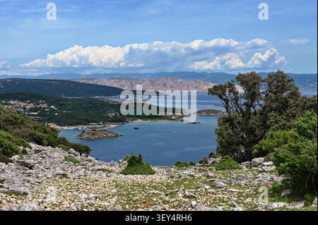 Vista panoramica della costa adriatica dalla collina sull'isola di Rab, Croazia Foto Stock
