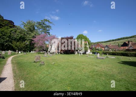 St Mary the Virgin Church a Turville, Buckinghamshire, con lapidi storiche e fiori rosa primaverile contro le Chiltern Hills. Foto Stock