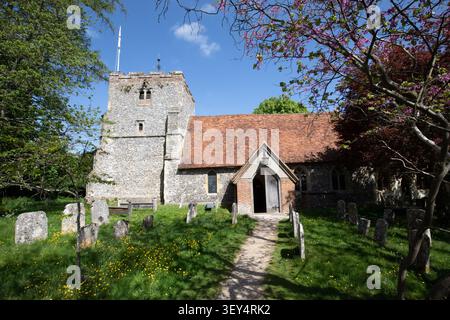 St Mary the Virgin Church a Turville, Buckinghamshire, con lapidi storiche e fiori rosa primaverile contro le Chiltern Hills. Foto Stock
