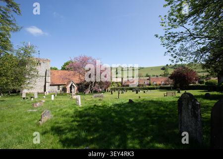 St Mary the Virgin Church a Turville, Buckinghamshire, con lapidi storiche e fiori rosa primaverile contro le Chiltern Hills. Foto Stock