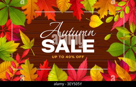 Striscione autunnale, foglie d'albero brillanti Illustrazione Vettoriale