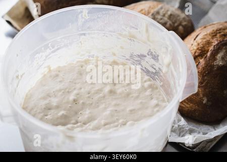 Antipasto con pasta madre di grano attivo in contenitore con pane artigianale Foto Stock
