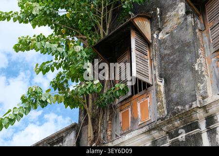 Storico negozio di epoca coloniale caratterizzato da tradizionali persiane in legno, pareti in gesso intemperie e un albero tropicale maturo che cresce accanto alla facciata Foto Stock
