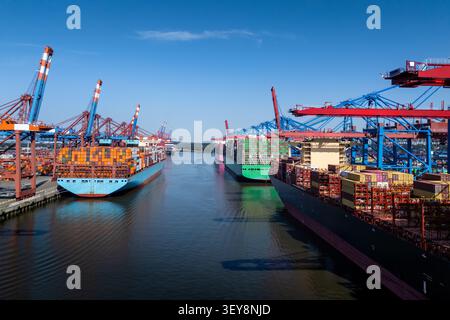 Vista aerea del trafficato terminal container di Waltershof con enormi navi da carico attraccate e caricate da grandi gru nel porto di Amburgo, Hamb Foto Stock