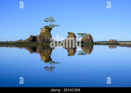 La formazione rocciosa dei Four Brothers a Siletz Bay sulla costa dell'Oregon si riflette nelle acque blu calme Foto Stock