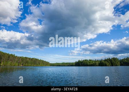 Splendido lago blu del Minnesota settentrionale con pini sulla riva e grandi nuvole Foto Stock
