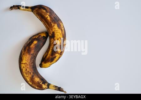 Due banane troppo mature su sfondo bianco Foto Stock
