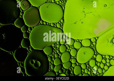 La vista macro ravvicinata mostra gocce di olio verde traslucido sospese in liquido, formando motivi circolari organici, superfici lucide e sfondo scuro Foto Stock