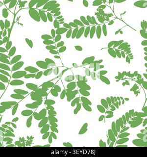 L'albero di acacia ramifica e lascia un motivo senza cuciture disegnato a mano. Non ai, illustrazione vettoriale. Illustrazione Vettoriale