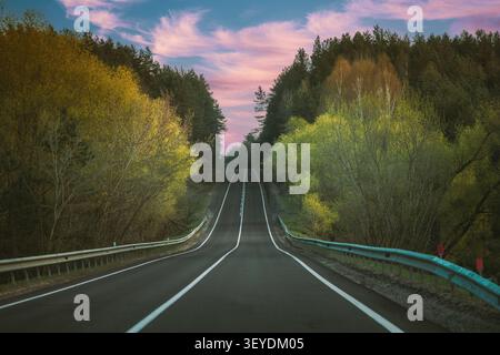 Autostrada curva attraverso una verde foresta primaverile al tramonto Foto Stock