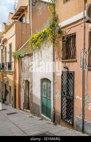 Paesaggio urbano con il tetto in fiore di un vecchio piccolo edificio sulla strada in salita, girato alla luce della primavera a Cagliari, Italia Foto Stock