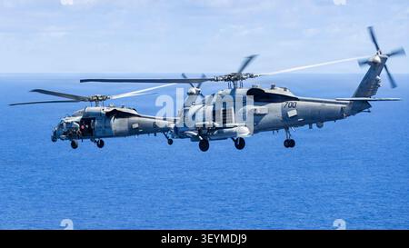 Un MH-60S Seahawk, attaccato all'Helicopter Sea Combat Squadron (HSC) 12 e un MH-60R Seahawk, attaccato all'Helicopter Maritime Strike Squadron (HSM) 77 Foto Stock