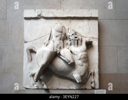 Partenone. South Metope II Centauromachia. Centauro. Greco classico. Dall'Acropoli di Atene. Grecia. British Museum. Londra. GBR. Foto Stock