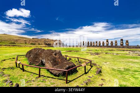 Le storiche statue in pietra moai di AHU Tongariki sull'Isola di Pasqua, in Cile, con una statua caduta in primo piano sotto un cielo blu. Foto Stock