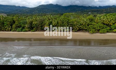 Spiaggia di Uvita da una vista aerea che mostra una costa sabbiosa, vibranti palme, fitta foresta tropicale e onde oceaniche Foto Stock