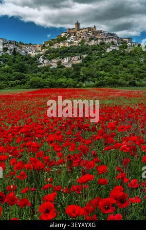 Capestrano, un antico borgo collinare in Abruzzo caratterizzato da un castello medievale e da edifici storici, si affaccia su un campo di papaveri rossi in fiore. Italia Foto Stock