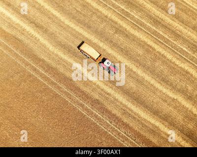 Vista dall'alto verso il basso dell'antenna del trattore e del rimorchio per cereali in corrispondenza della didascalia del raccolto Vista dall'alto verso il basso di un trattore rosso che tira un rimorchio per grano su un grano Foto Stock