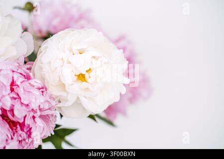 Il fresco bouquet di peonie rosa e bianche si stende in vaso su una superficie bianca con spazio per le copie. Consegna di fiori in boutique di alta qualità, banner per fioraio online Foto Stock
