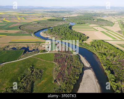 Un fiume tortuoso, delimitato da foreste e campi, scorre attraverso il vasto paesaggio, vista aerea, fiume Somes vicino a Satu Mare, Somesh, Satu Mare, Romania Foto Stock