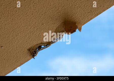 Vista dettagliata dello stucco che si stacca sul soffitto esterno, rivelando la rete metallica sottostante e un cielo azzurro Foto Stock
