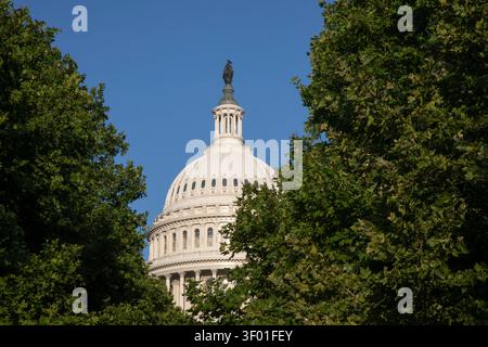 Washington, DC - il Campidoglio degli Stati Uniti. Foto Stock