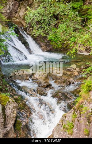 Inglese: Una vista serena e rinfrescante delle cascate di Mickiewicz (Wodogrzmoty Mickiewicza) nelle montagne dell'alto Tatra, catturando il wate a cascata Foto Stock