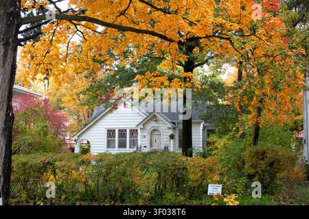 Casa ben immersa nel fogliame autunnale con i'm a Friend of the Library sign di fronte all'hotel. St Paul, Minnesota, Minnesota, Stati Uniti Foto Stock