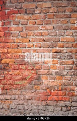 Vecchi muri in mattoni con diverse tonalità e texture visibili Foto Stock