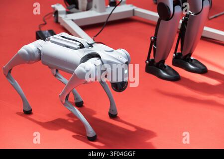 Robotto quadrupede avanzato a forma di cane e robot umanoide in una mostra tecnologica che mostra IA, automazione e robotica futura Foto Stock