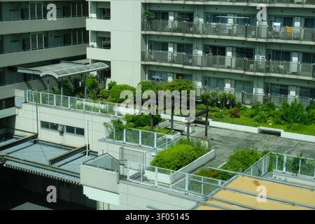 File di edifici residenziali urbani a Tokyo visti dal finestrino del treno monorail Foto Stock