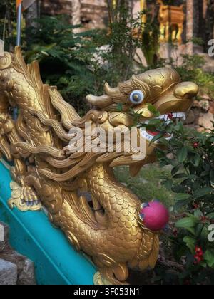 Statua di drago dorato su un corrimano delle scale di un tempio. Un piano dettagliato di una scultura di drago dorato ornata che tiene una sfera rossa su un balcone colorato del tempio Foto Stock