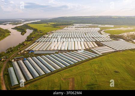 Vista aerea di una grande serra vicino a un fiume e a campi agricoli. Centinaia di serre sono utilizzate per la coltivazione vegetale e il foo tutto l'anno Foto Stock
