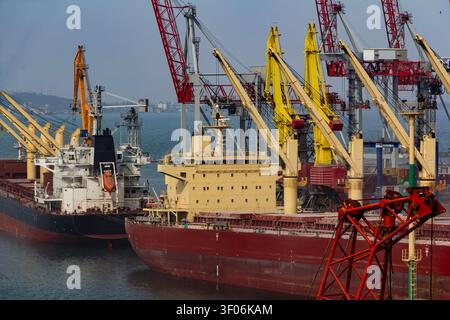 Un porto commerciale affollato con grandi navi da carico per merci alla rinfusa ormeggiate a un terminal, circondate da gru portuali pesanti gialle e rosse che caricano il carico Foto Stock