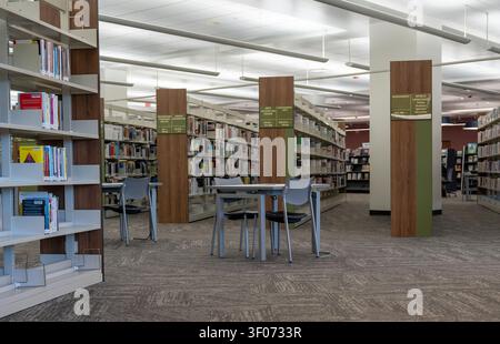 Un piano ampio di un interno di biblioteca pubblica moderna e tranquilla, con scaffali ordinatamente organizzati pieni di libri, sezioni etichettate per vari argomenti Foto Stock