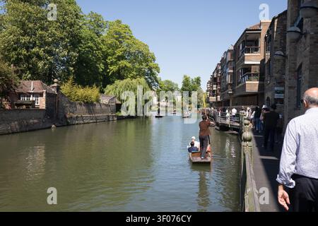 I turisti si godono il canottaggio sul fiume Cam lungo il lungofiume del Quayside e i salici piangenti in una limpida e soleggiata giornata estiva a Cambridge, Inghilterra. Foto Stock