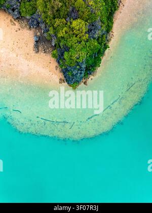 Vista aerea di una formazione carsica rocciosa calcarea coperta da una lussureggiante vegetazione verde, che incontra una spiaggia sabbiosa e acque turchesi costiere del Vietnam. Foto Stock