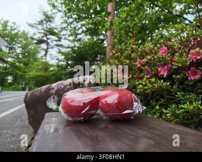 Due mele rosse avvolte nella plastica trasparente riposano su una panchina di legno. La vegetazione e i fiori rosa in fiore incorniciano la scena. L'ambientazione sembra calma, pacifica, Foto Stock