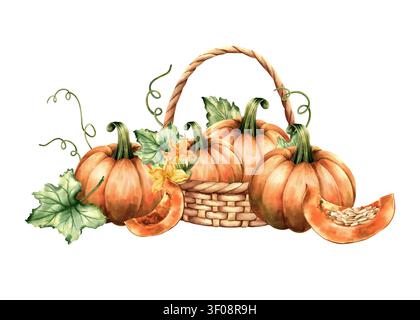 Zucche acquerellate in un cesto di vimini raccolta composizione orizzontale. Fette di zucca tagliate, foglie verdi autunnali, rampicanti, fiori. Dipinto a mano isolato Foto Stock