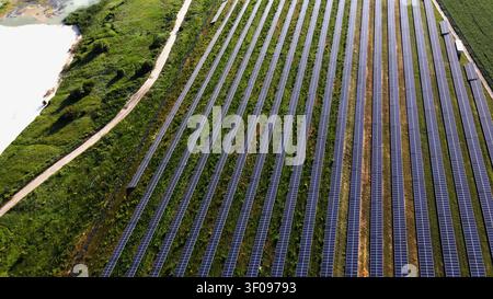 Vista aerea di una grande fattoria solare che mostra file di pannelli fotovoltaici in un campo verde che generano energia pulita e rinnovabile Foto Stock