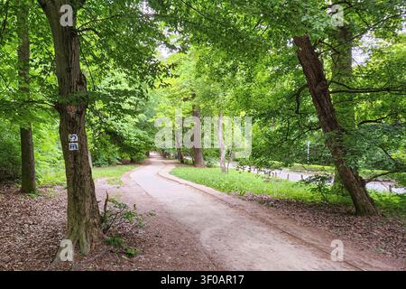 Segnaletti del sentiero escursionistico dipinti su un tronco d'albero nella lussureggiante foresta verde di Normafa, colline di Budapest, Ungheria Foto Stock