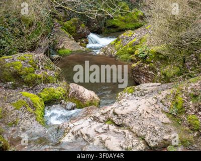 Una scena naturale serena che presenta un ruscello di montagna limpido con piccole cascate e bacini di pietra. Le rive sono ricoperte di muschio verde vibrante e selvatico Foto Stock