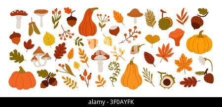 Elementi autunnali. Decorazione autunnale della foresta. Foglie semplici di doodle, bacche, fogliame, rami, castagne, ghiande, funghi, zucche. Natura vettoriale Illustrazione Vettoriale