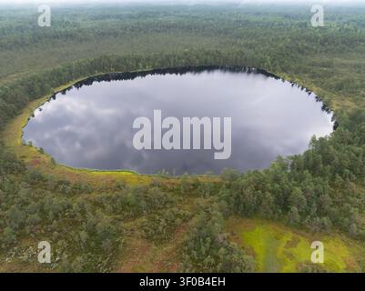 Vista aerea con drone del lago paludoso Konnu Suursoo in Estonia circondato da una fitta foresta di pini e zone umide muschiose, che mostra un bellissimo paesaggio selvaggio e nor… Foto Stock