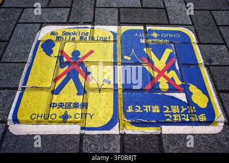 Un cartello pedonale che vieta di fumare mentre si cammina a Chuo City, vicino a Ginza, Tokyo, Giappone. Questa segnaletica stradale è comunemente trovata lungo tutto il percorso Foto Stock