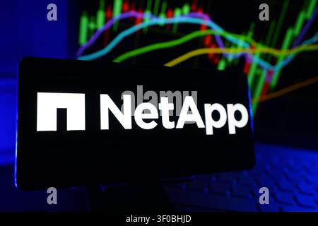 Logo di Netapp Inc visualizzato su uno schermo di smartphone davanti a un computer che mostra grafici di performance finanziarie del mercato azionario Foto Stock