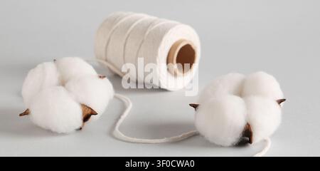 Bolla di cotone con stelo di filo bianco su sfondo grigio Foto Stock