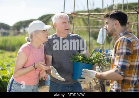 Una coppia anziana e un giovane che litiga sul campo agricolo Foto Stock