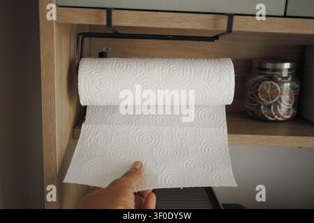 Rotolo di asciugamani di carta pronto per l'uso in un ambiente cucina accogliente Foto Stock