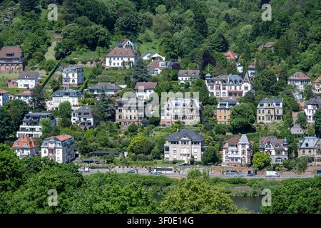 Ville e case storiche costeggiano la collina verde sopra il fiume Neckar ad Heidelberg, Baden-Württemberg, Germania. Foto Stock